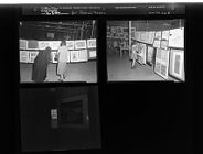 Art Feature (3 Negatives) (January 9, 1954) [Sleeve 8, Folder a, Box 3]